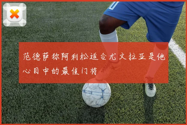 范德萨称阿利松适合尤文拉亚是他心目中的最佳门将