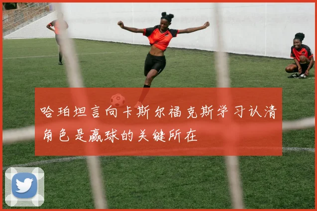 哈珀坦言向卡斯尔福克斯学习认清角色是赢球的关键所在